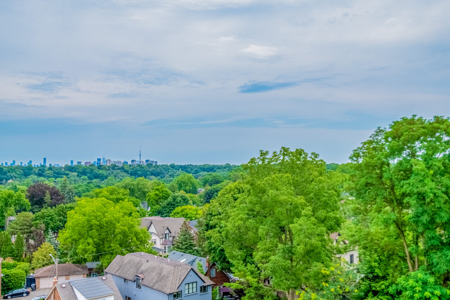 Cline Real Estate Group Toronto Real Estate Experts